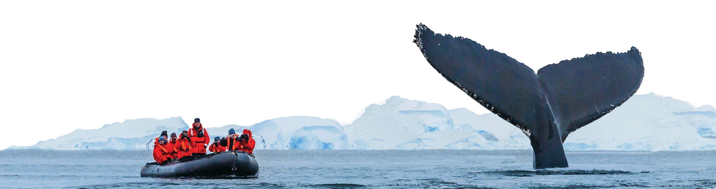 A group of people in red jackets observe a whale's tail emerging from the water while seated in a black inflatable boat, showcasing one of nature's incredible destinations. Snowy mountains are visible in the background.