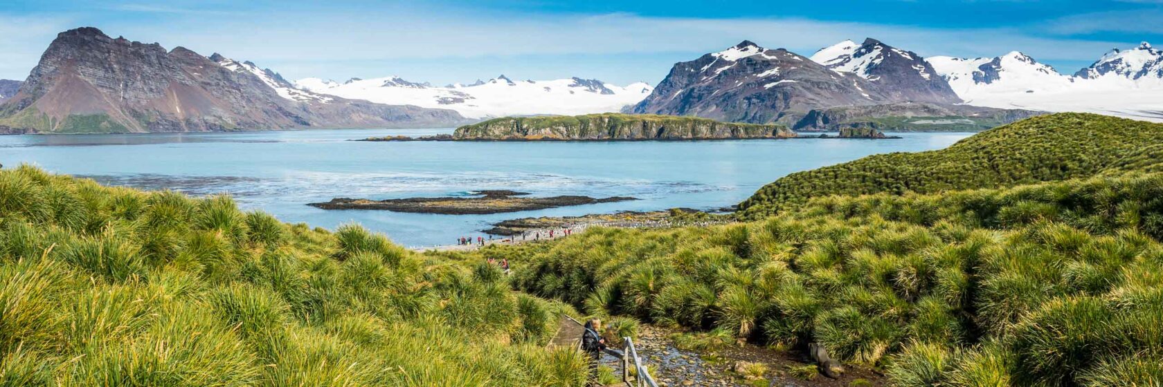 Walkway on Prion Island, South Georgia, Antarctica.