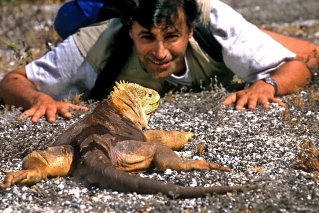 A tourist observing an Iguana.