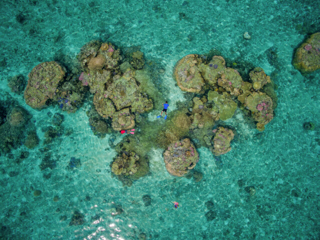Aerial view of three snorkelers in clear turquoise water off the coast of Tonga, exploring vibrant coral formations.