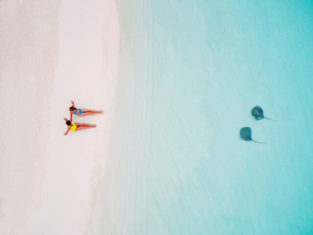 An aerial view of two people sitting on a beach and two manta rays underwater.