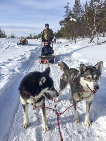 Two people ride on a dog sled in a snowy landscape in Finland, pulled by two sled dogs. A snowmobile is visible in the background. Trees are scattered around the snowy terrain.