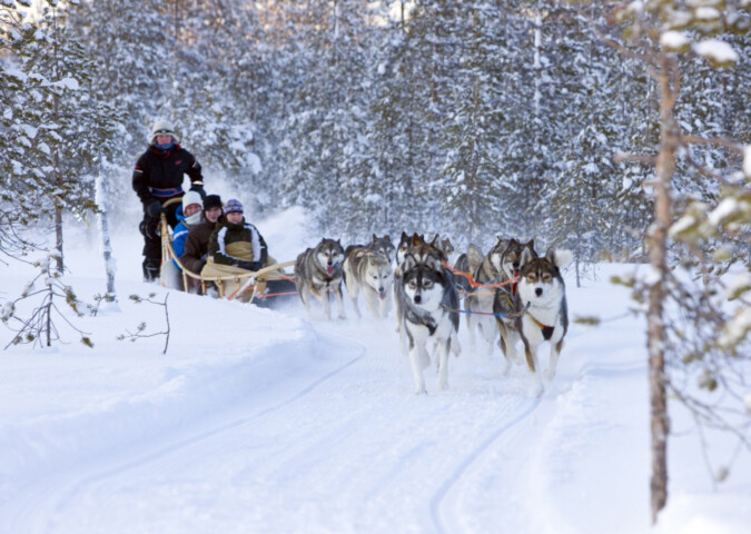 A team of sled dogs pulls a sled with three passengers through a snowy forest trail in Finland, led by two people at the front.