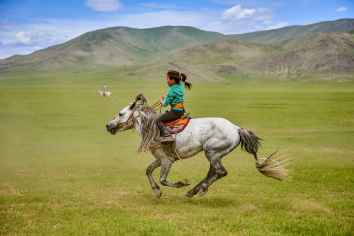 A young person rides a galloping white horse across a vast green landscape in Mongolia, with mountains in the background.