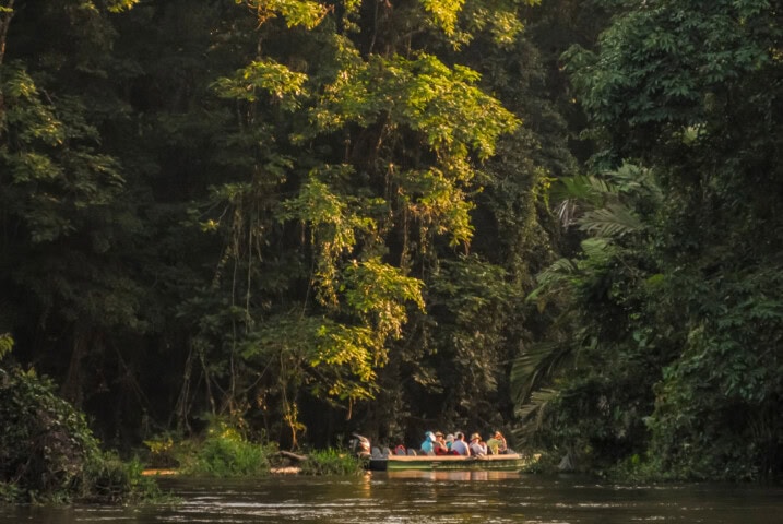 A small group of people in a boat travel through a lush, dense forest on a calm river in Costa Rica, surrounded by vibrant green foliage.