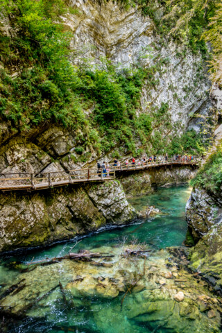 A group of people walk along a wooden pathway built along the rocky walls of Slovenia's narrow, lush canyon with a turquoise stream flowing through it.