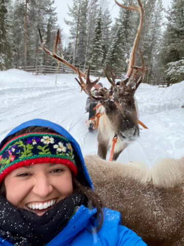 A person in a blue jacket and colorful hat smiles for a selfie in front of a reindeer pulling a sled in the snowy forests of Finland.