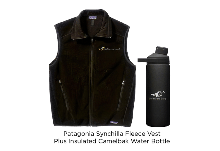 A black Patagonia Synchilla fleece vest and an insulated Camelbak water bottle with WT Toucan Club branding displayed side by side make perfect gifts for gear enthusiasts.