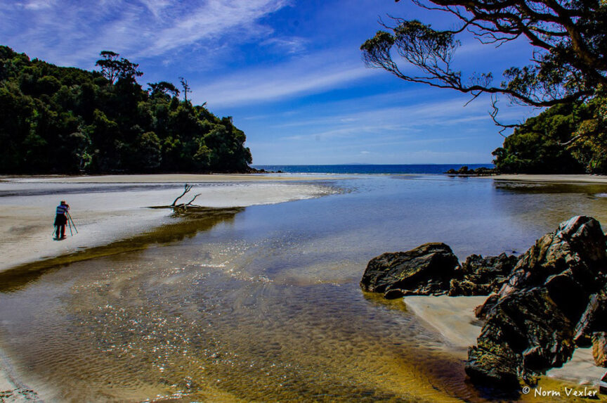 A person with a walking stick stands on a sandy beach with a shallow stream, reminiscent of the varied landscapes of Middle Earth; rocky shore and lush trees flank the sides under a blue sky.