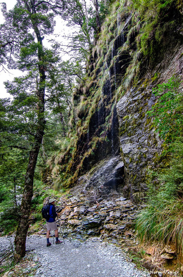 A hiker stands on a rocky trail next to a cliff with water cascading down, surrounded by lush greenery, reminiscent of the varied landscapes one might find in Middle Earth.
