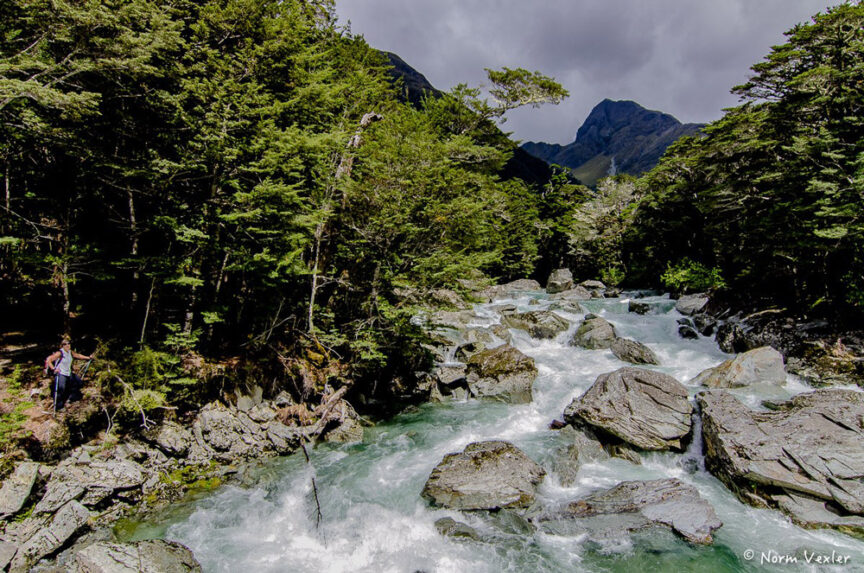A tumultuous river flows through a forested area with rocky banks, against a backdrop of misty mountains under a cloudy sky, evoking the varied landscapes reminiscent of Middle Earth.