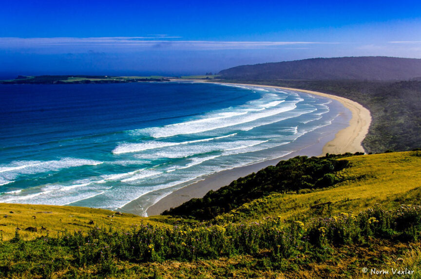 A coastal landscape with blue ocean waves meeting a sandy beach, lined with green hills under a clear blue sky, reminiscent of the varied landscapes of Middle Earth.
