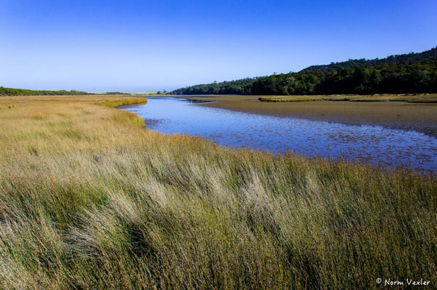 A winding river flanked by grassy marshlands under a clear blue sky with a forested hill in the background, reminiscent of Middle Earth's varied landscapes. Photo credit: Norm Vexler.