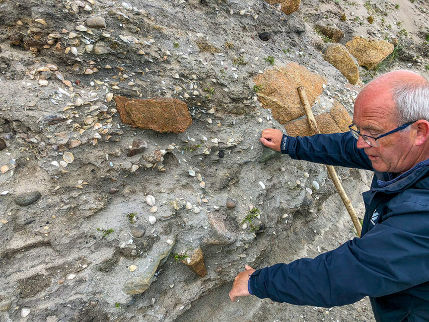 A person points to geological layers in a rock formation on Ireland's West Coast, including shells and rocks embedded in the sediment.