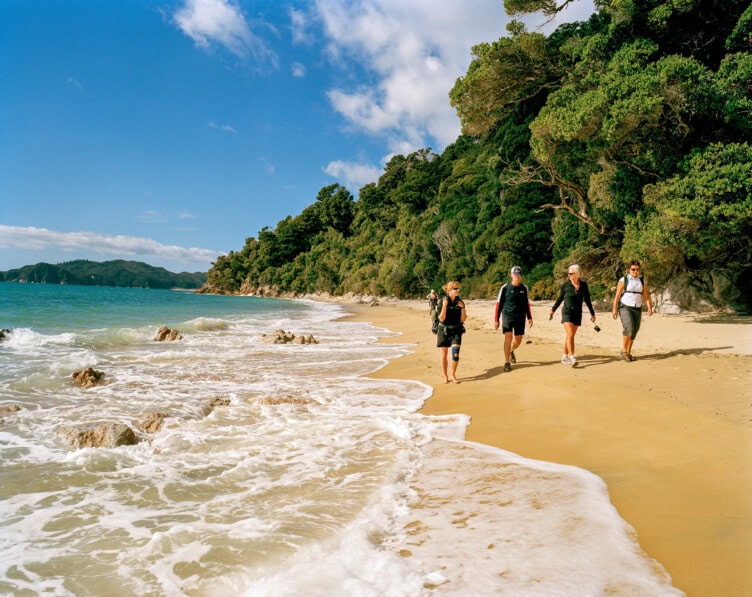 Four people walk along a sandy beach in New Zealand, with waves to their left and lush green trees to their right under a partly cloudy sky—the best time for travel.