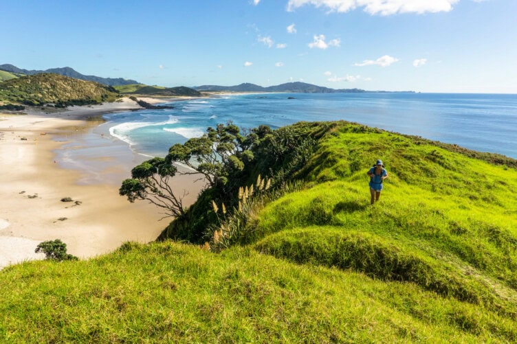 Strolling on a grassy hill overlooking New Zealand's coastline, where sandy beaches meet the blue ocean, is among the top 15 things to do under a clear sky.