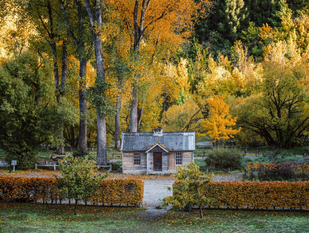 Nestled in a picturesque setting, this small wooden cabin is surrounded by vibrant autumn trees and a charming gravel path, offering an ideal retreat in Queenstown. Enjoy the serene beauty while exploring local attractions and discovering exciting things to do nearby.