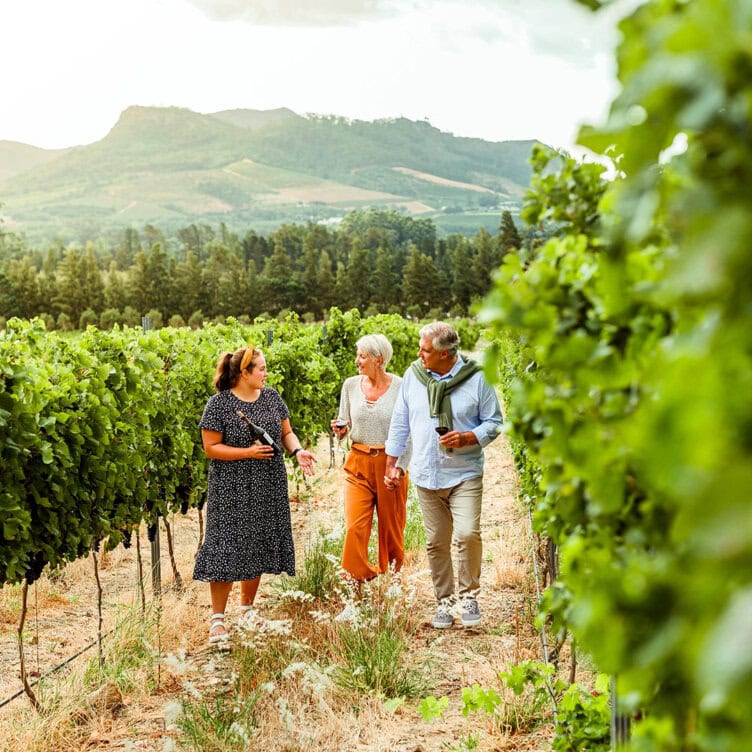 Three adults enjoy a vineyard tour on a sunny day, walking together among green grapevines with hills and trees in the background.